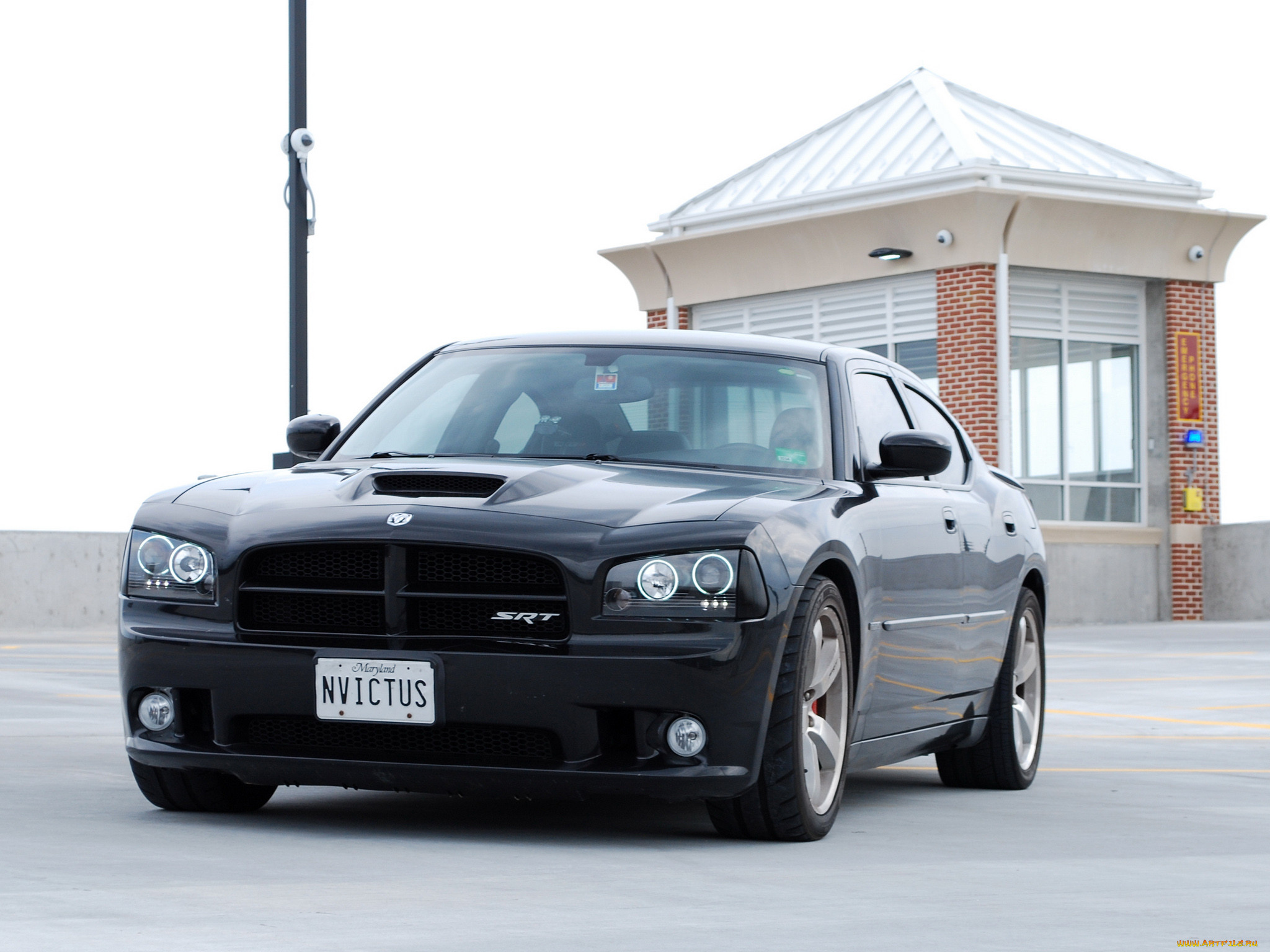 , dodge